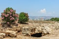 Archaeological museum in Paphos on Cyprus Royalty Free Stock Photo