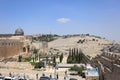 Archaeological Park, Al-Aqsa, Mount Olives