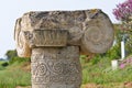 Archaeological Park. Metaponto. Basilicata. Italy. Royalty Free Stock Photo