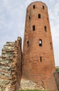 Archaeological Park with Palatine towers,Turin