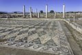 Mosaic in Pella, the native town of Alexander the Great, Macedonia, Greece Royalty Free Stock Photo