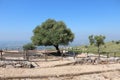 Archaeological site of the ancient city of Norba Latina Royalty Free Stock Photo