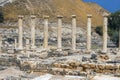 Archaeological site, Beit Shean, Israel Royalty Free Stock Photo