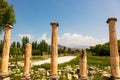 Archaeological site of Helenistic city of Aphrodisias in western Anatolia, Turkey. Royalty Free Stock Photo