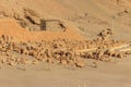 Archaeological site near the temple of Hatshepsut in Deir el-Bahri. Excavations of ancient Egypt on the West Bank of the Nile