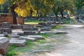 Archaeological Site of Olympia, Greece. Royalty Free Stock Photo