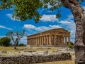 Archaeological site of Paestum, Italy Royalty Free Stock Photo