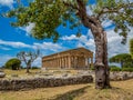 Archaeological site of Paestum, Italy Royalty Free Stock Photo