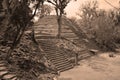 The archaeological site of the pre-Columbian Maya civilization in Tikal Royalty Free Stock Photo