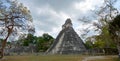 The archaeological site of the pre-Columbian Maya civilization in Tikal Royalty Free Stock Photo