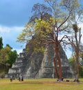 The archaeological site of the pre-Columbian Maya civilization in Tikal Royalty Free Stock Photo