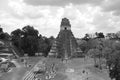 The archaeological site of the pre-Columbian Maya civilization in Tikal Royalty Free Stock Photo