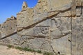 Old bas relief sculpture carving on wall, Persepolis city, Iran.