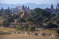 Archaeological Zone - Bagan - Myanmar (Burma) Royalty Free Stock Photo