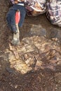 Archaeologist clears found birch with writing of ancient people