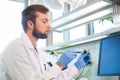 Archaeologist working in natural research lab. Laboratory assistant cleaning animal bones. Archaeology, zoology Royalty Free Stock Photo