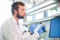 Archaeologist working in natural research lab. Laboratory assistant cleaning animal bones. Archaeology, zoology Royalty Free Stock Photo