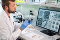 Archaeologist working in natural research lab. Laboratory assistant cleaning animal bones. Archaeology, zoology Royalty Free Stock Photo