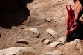 Archaeologist working on site, hand with brush