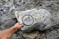 Archaeologists are using tools and equipment to explore fossils found in sedimentary rocks