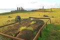 Archaeology Site with Ahu Tahai and Ahu Ko Te Riku Ceremonial Platform at the Pacific West Coast of Easter Island, Chile