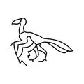 archaeopteryx dinosaur animal line icon vector illustration