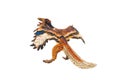 Archaeopteryx  , Dinosaur on white background Royalty Free Stock Photo