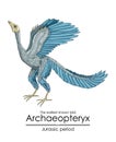 Archaeopteryx, the earliest known bird