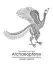 Archaeopteryx, the earliest known bird Royalty Free Stock Photo