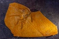 archaeopteryx fossils discovered in Germany Royalty Free Stock Photo