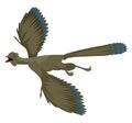 Archaeopteryx, illustration, vector Royalty Free Stock Photo