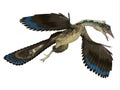 Archaeopteryx Reptile in Flight