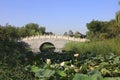 Archaize stone bridge in the park Royalty Free Stock Photo