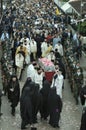 Archbishop Christodoulos and a lot of pilgrims following the Relics Of Saint John the Russian Royalty Free Stock Photo