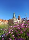 Archcathedral Basilica of St.  Stanislav and St.  Wenceslas in Krakow, Wawel castle, Poland Royalty Free Stock Photo