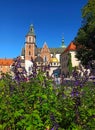 Archcathedral Basilica of St.  Stanislav and St.  Wenceslas in Krakow. Wawel Castle, Poland Royalty Free Stock Photo