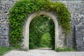 Arch in an old wall