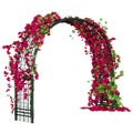 Arched metal pergola