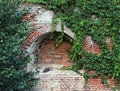 A niche in a red brick wall partly covered by a lush growth of dark green ivy