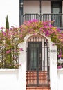 arched outdoor entry with metal gates and bougainvillea branches, covered with purple flowers crown the tropical arch