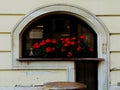 Arched restaurant window with decaying sill and red geraniums Royalty Free Stock Photo