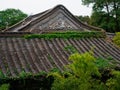 The arched roof of Chinese Qing Dynasty architecture