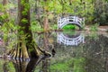 Arched White Bridge in Swamp Garden Royalty Free Stock Photo