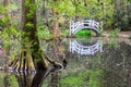 Arched White Bridge in Swamp Garden