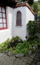 Arched window with security grills, white wall and green succulent plants. Royalty Free Stock Photo