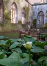 The ruins of St Dunstan in the East Church in the City of London UK. The historic church was bombed and destroyed in WW2.