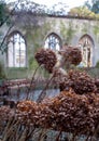 The ruins of St Dunstan in the East Church in the City of London UK. The historic church was bombed and destroyed in WW2.