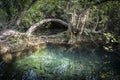 Arched wood and shady backwater with fish in the Krka National Park near Skradin, Croatia Royalty Free Stock Photo