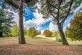 Archeologic park Enrico Fiumi in Volterra, Pisa Royalty Free Stock Photo