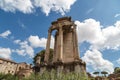 Archeological Roman Forum